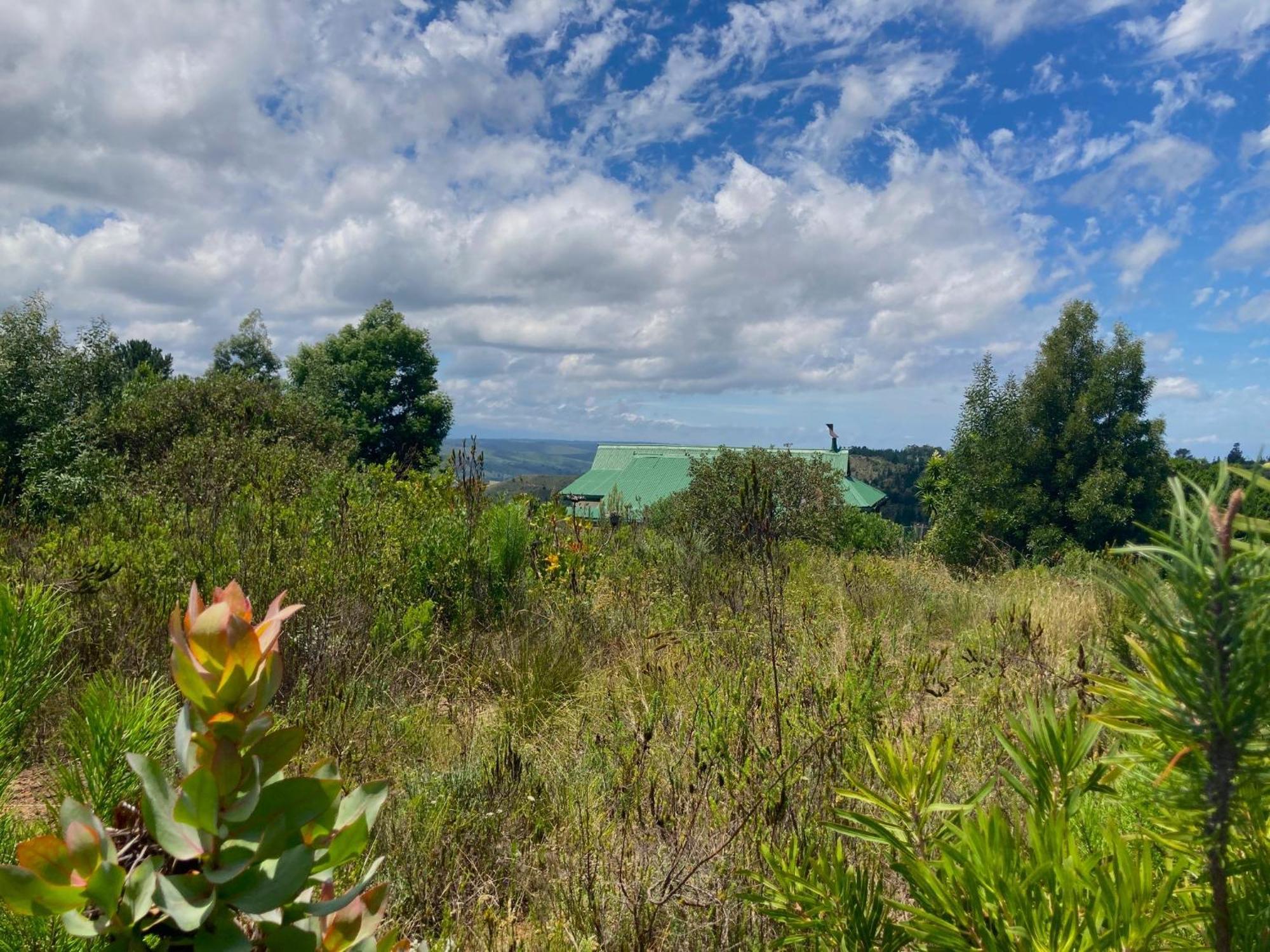 Protea Wilds Retreat Hotel Harkerville Exterior foto