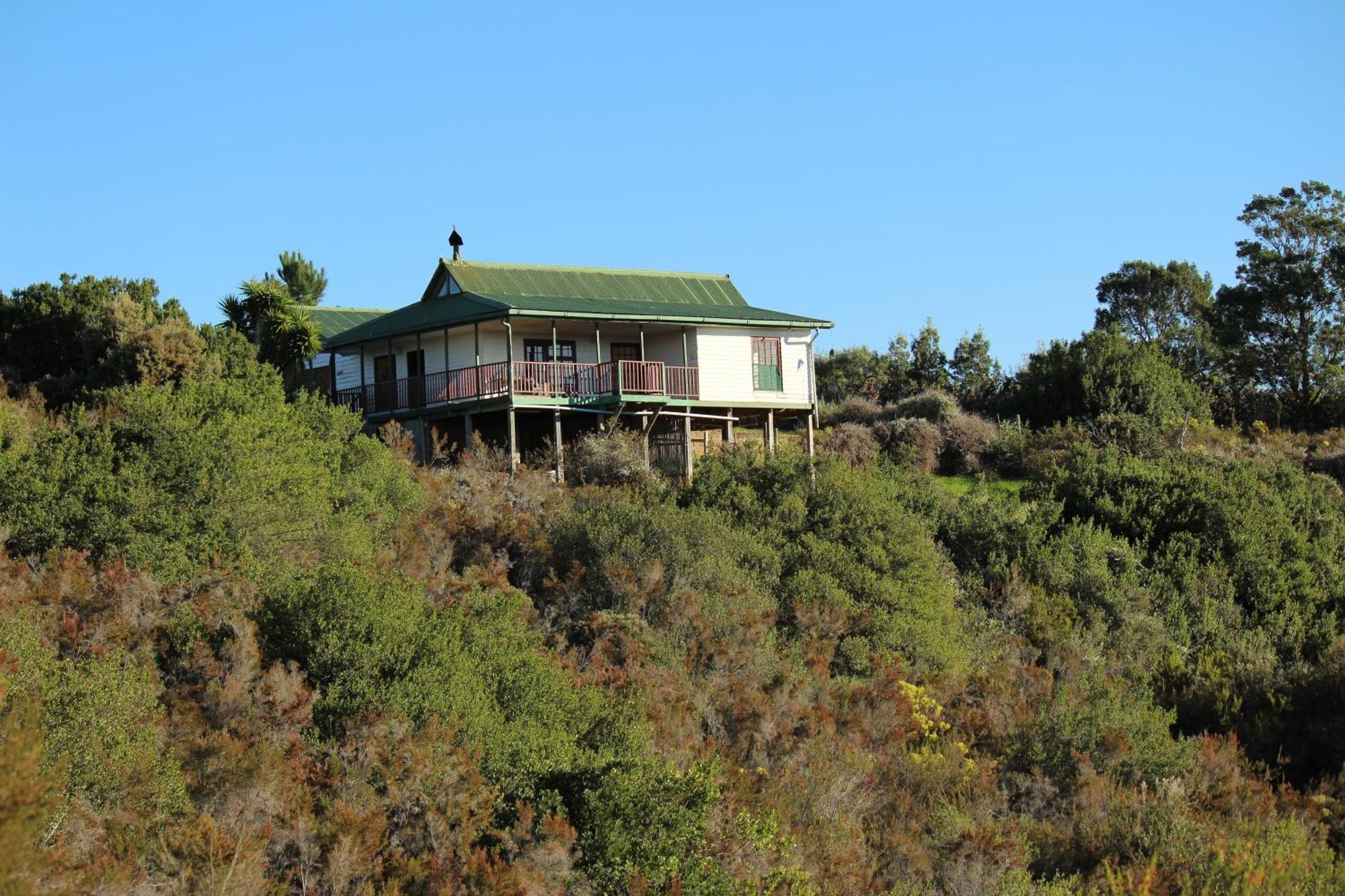 Protea Wilds Retreat Hotel Harkerville Exterior foto